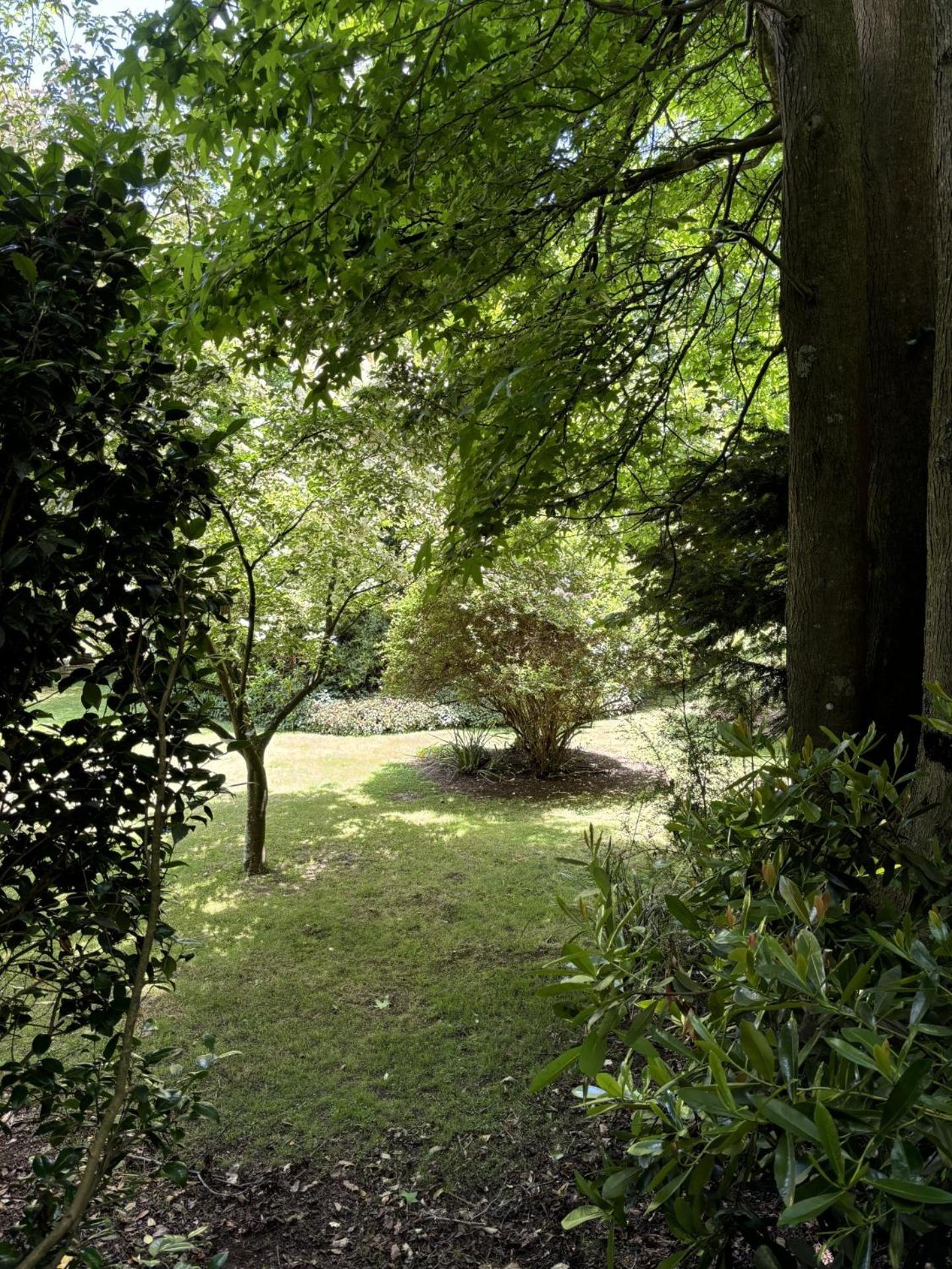 Arcadia Cottages Olinda Bagian luar foto